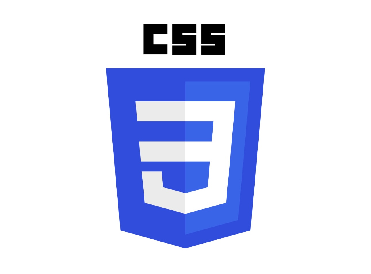 CSS logo